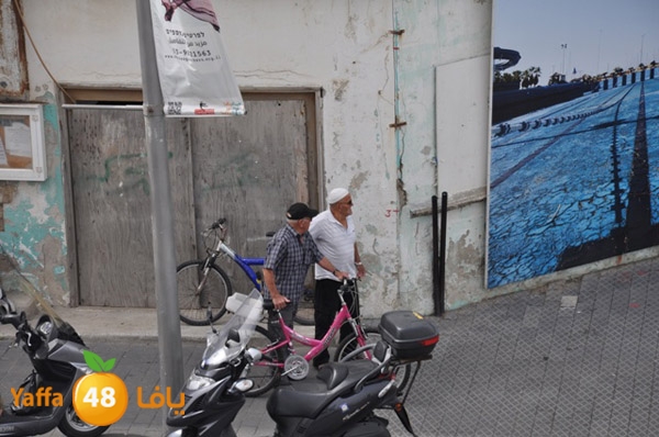 mina2yaffan51i (6).JPG